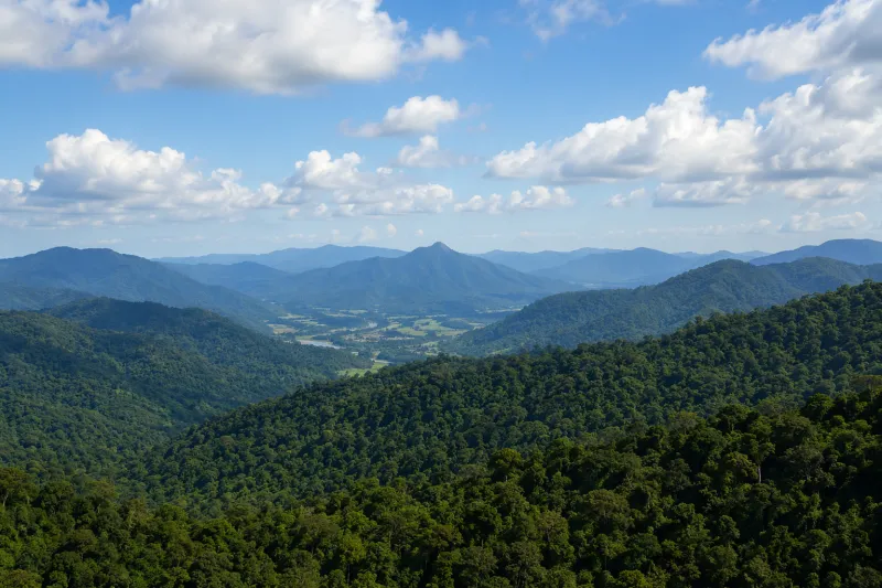 Hub de Descarbonização da FIESC mobiliza indústrias para uma economia de baixo carbono 