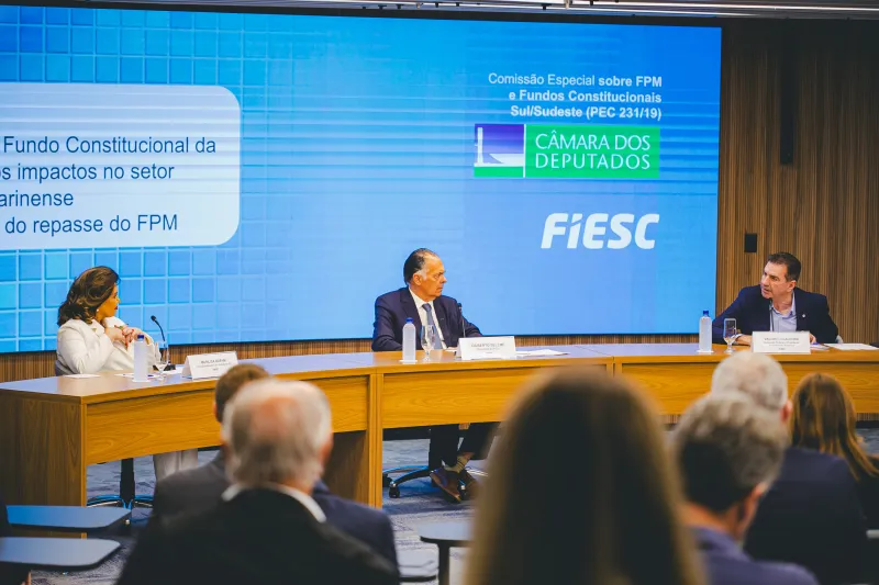 Setor produtivo e lideranças políticas debatem criação de Fundo para Sul e Sudeste