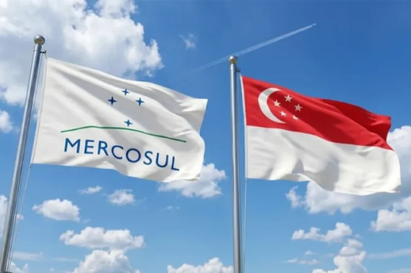 O webinar contará com a participação de Sarah Prado Chicrala, chefe do Setor de Promoção Comercial da Embaixada do Brasil em Singapura, responsável pela palestra técnica. Foto: divulgação Mercosul.