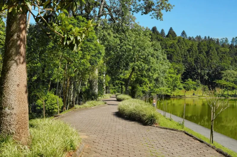Parque Malwee. Foto: Duvulgação/Malwee